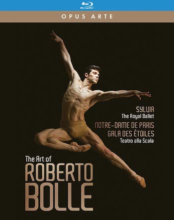 [BD]THE ART OF ROBERTO BOLLE (3BDS)