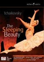 TCHAIKOVSKY: THE SLEEPING BEAUTY (2 DVD SET)
