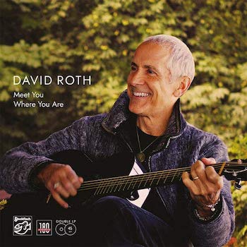 [LP]DAVID ROTH: MEET YOU WHERE YOU ARE (45RPM,2LP) DMM